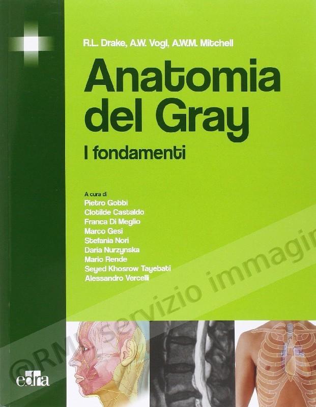 ANATOMIA DEL GRAY FONDAMENTI