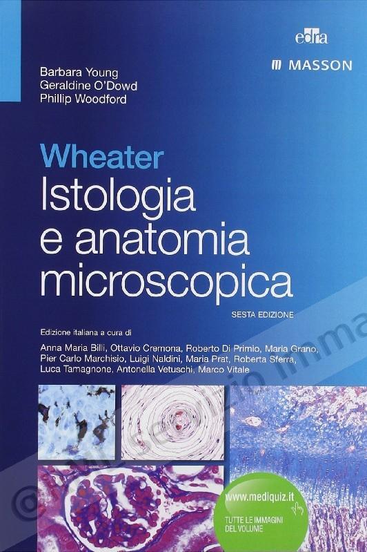 WHEATER ISTOLOGIA ANATOMIA...