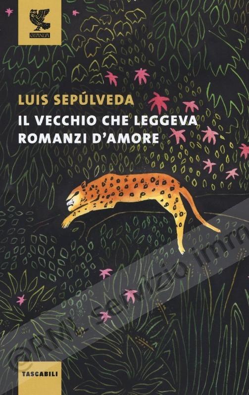 VECCHIO CHE LEGGEVA ROMANZI