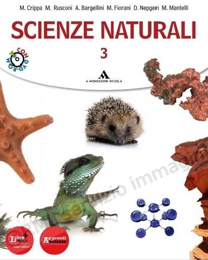 SCIENZE NATURALI 3 +DVD V.E.