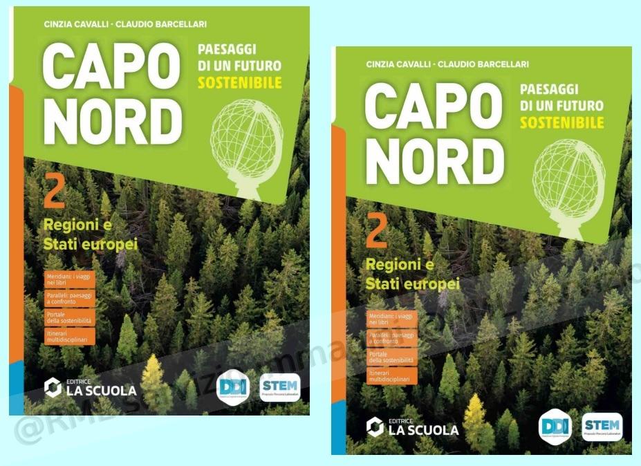 capo nord, paesaggi di un...