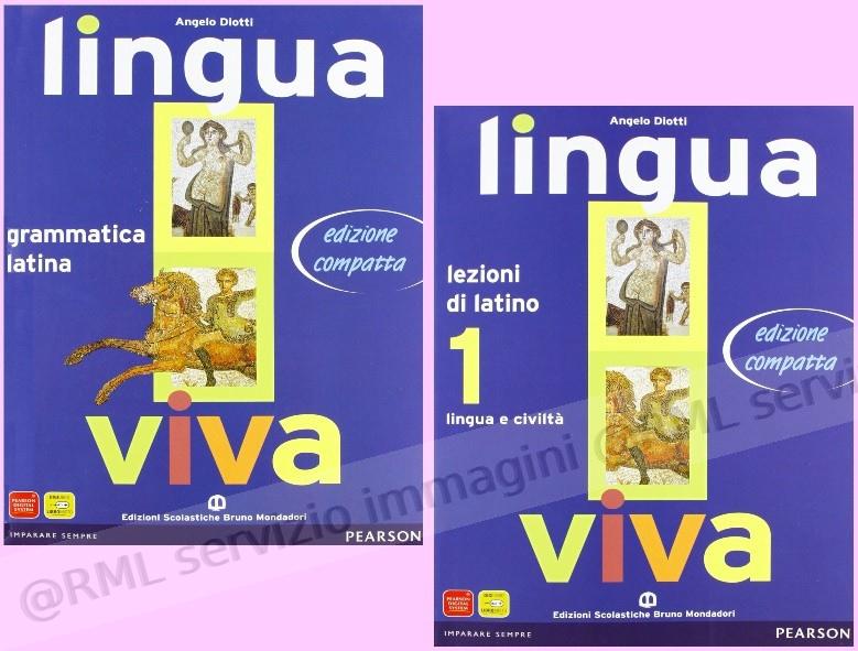 LINGUA VIVA, GRAMMATICA +...