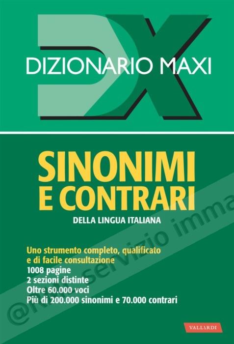 DIZIONARIO MAXI SINONIMI E...