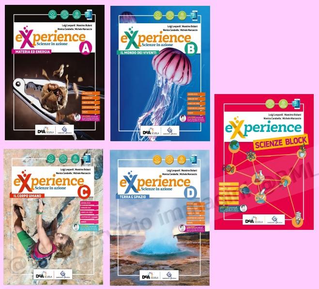 experience a+b+c+d +dvd (5t)