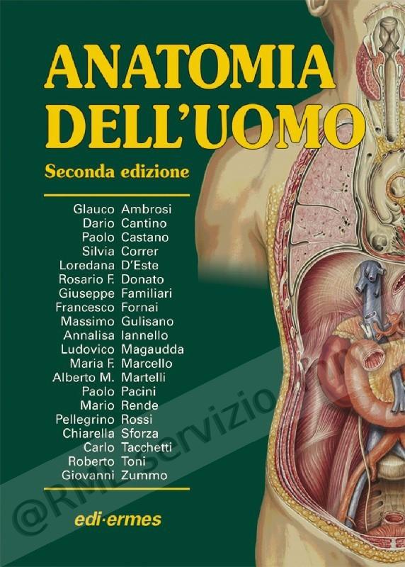 ANATOMIA DELL'UOMO