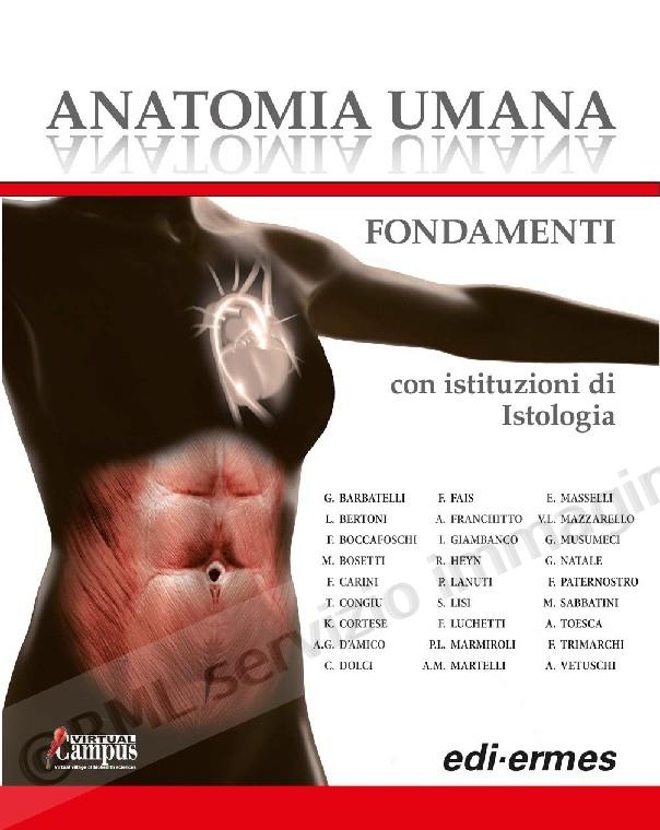 ANATOMIA UMANA FONDAMENTI...