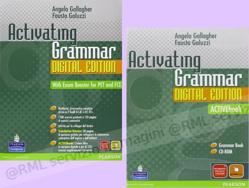 activating grammar digital...