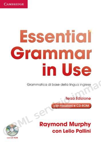 essential grammar i/use it...