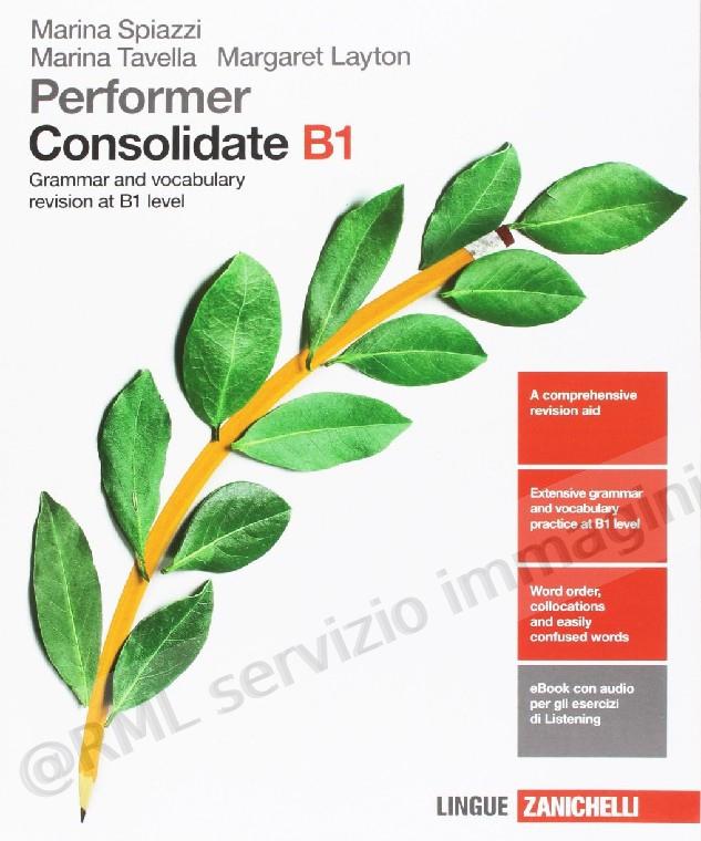 PERFORMER CONSOLIDATE B1 +eB