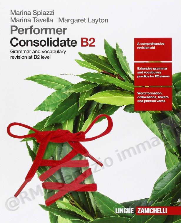 PERFORMER, CONSOLIDATE B2...