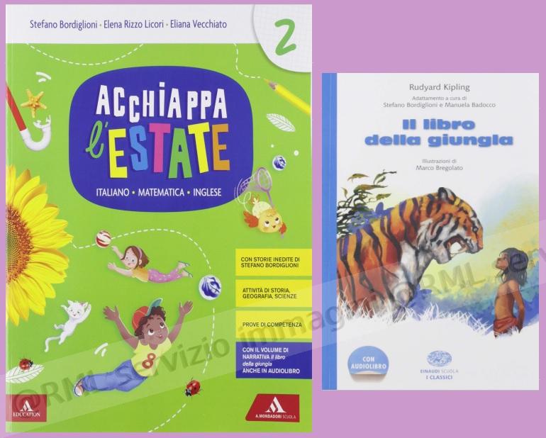 ACCHIAPPA L'ESTATE 2 +LIBRO...