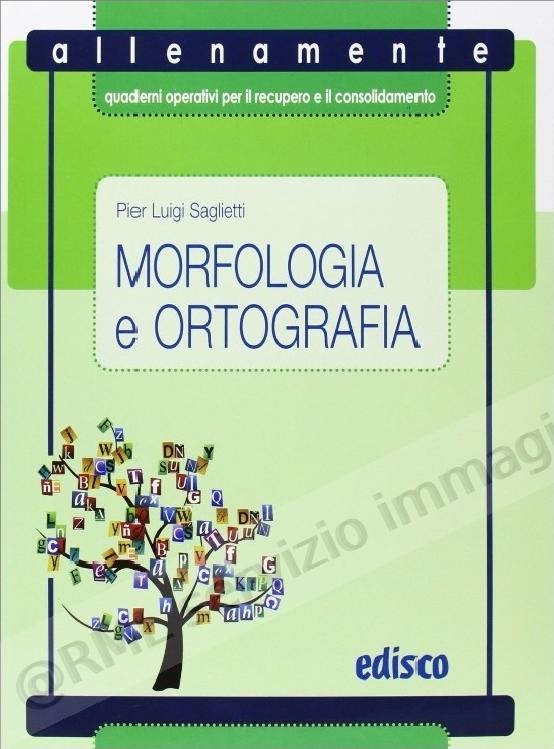 ALLENAMENTE 1, MORFOLOGIA