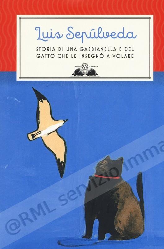 STORIA DI UNA GABBIANELLA E...